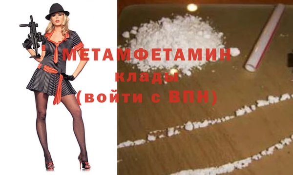 индика Арсеньев