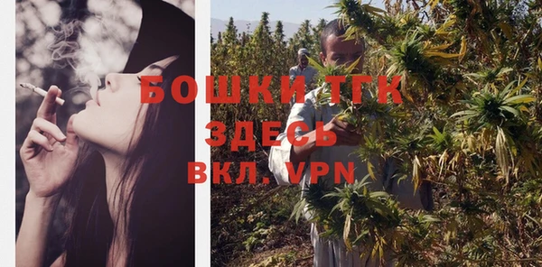 индика Арсеньев