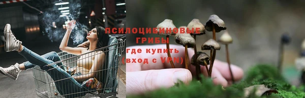 соль курить ск Аркадак