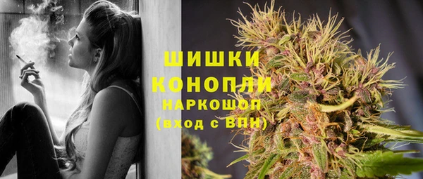 трава Армянск