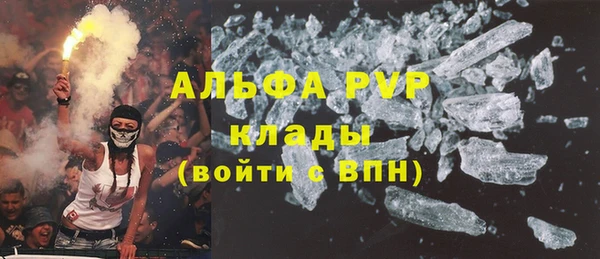 индика Арсеньев