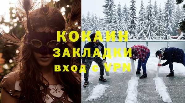 индика Арсеньев