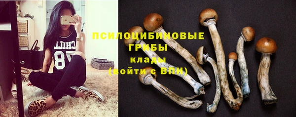 индика Арсеньев