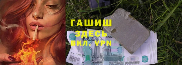 индика Арсеньев