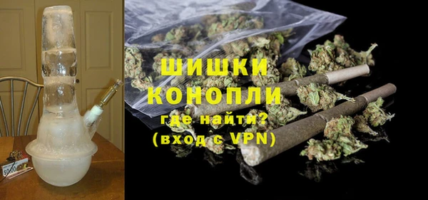 индика Арсеньев
