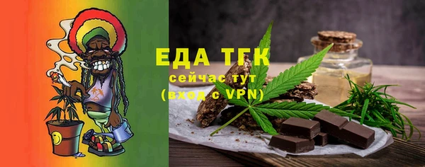 индика Арсеньев
